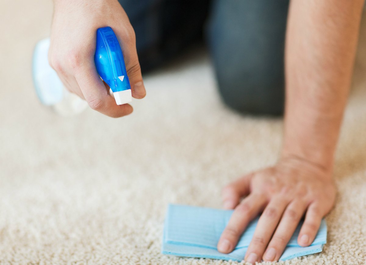 5 Carpet Cleaning Tips Busy Moms Must Know
