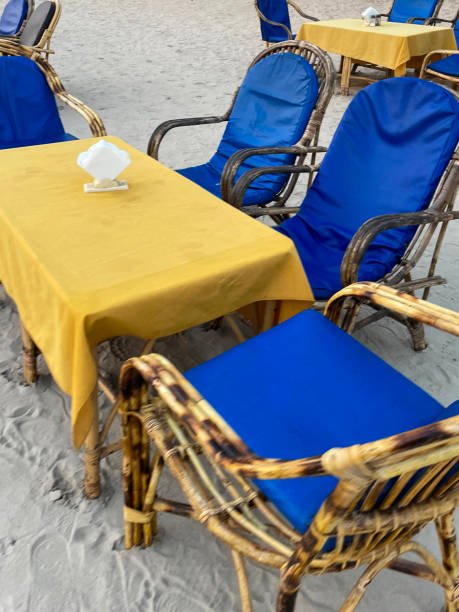 Dining Chair Cushions